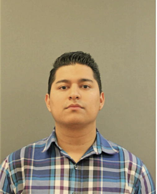 PABLO A ANDRADE AREVALO, Cook County, Illinois