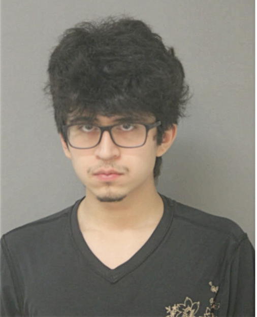 CARLOS A ARCE, Cook County, Illinois
