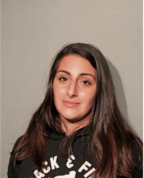 STEPHANIE M DINKHA, Cook County, Illinois
