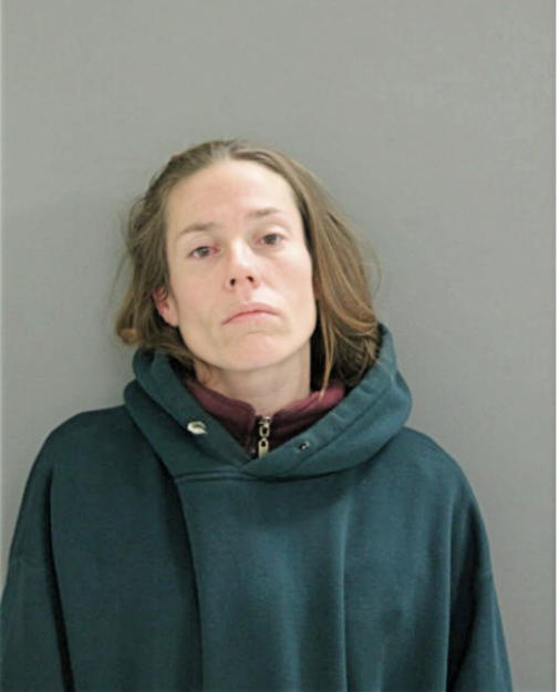 CORRINE N MERTINS, Cook County, Illinois