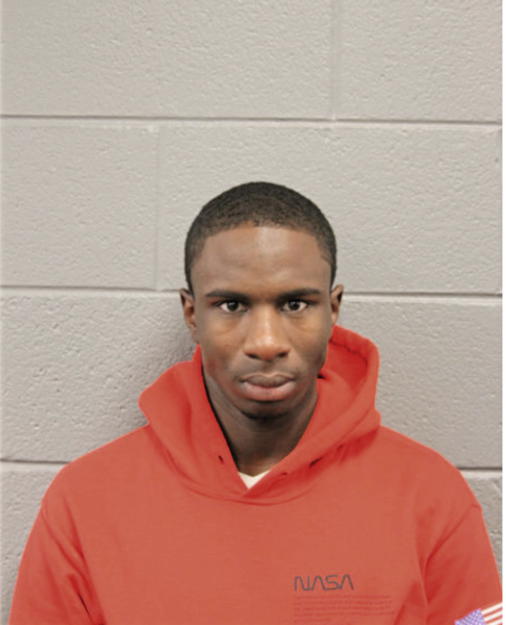 RAYSHAWN L MINOR, Cook County, Illinois