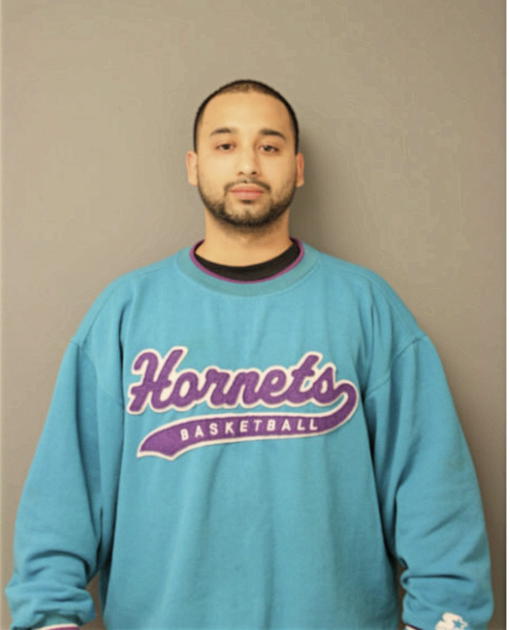LUIS A MONTE, Cook County, Illinois