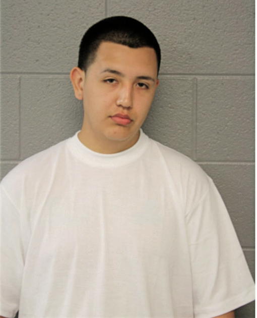 DANTAE OCAMPO, Cook County, Illinois