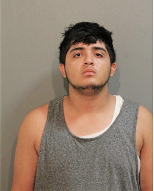 ALLAN A PEREZ-ROMERO, Cook County, Illinois