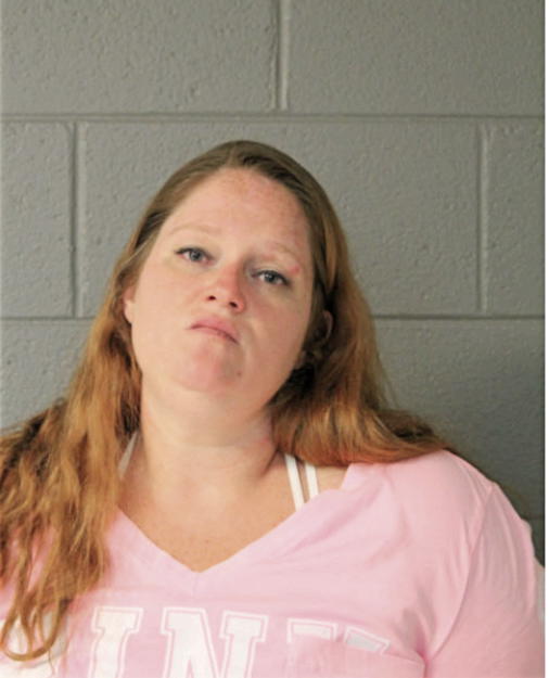 MICHELLE L RINGOLD, Cook County, Illinois