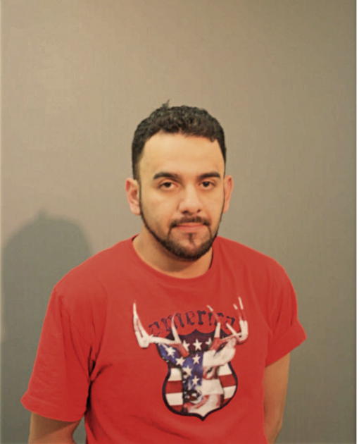ROBERTO ROMAN-MIRANDA, Cook County, Illinois