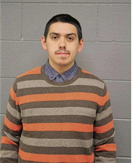 ROSARIO SANCHEZ, Cook County, Illinois