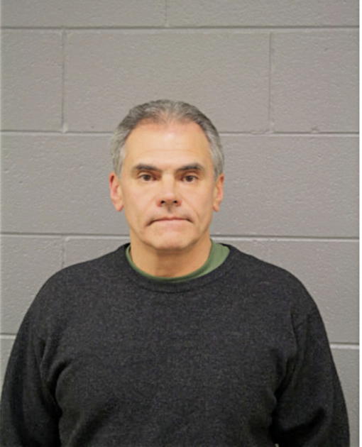 VITALIY P SEMENOV, Cook County, Illinois