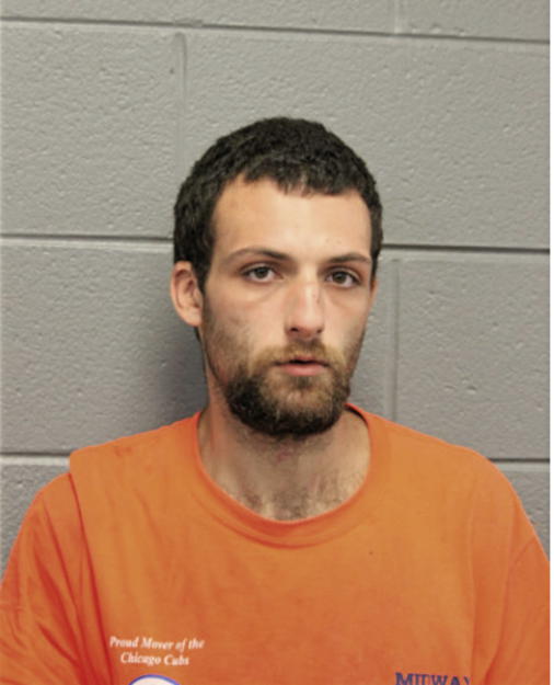LANDON EDWARD SOFFER, Cook County, Illinois