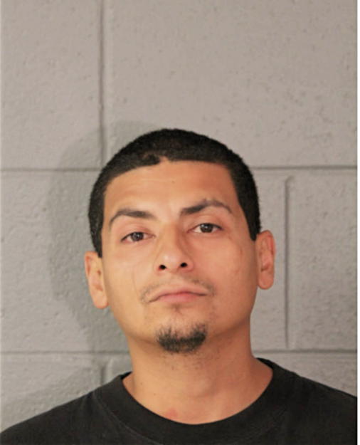 ALEXANDER F TOLEDO, Cook County, Illinois