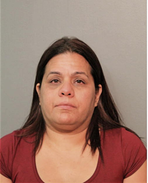 MARIA V IRIZARRY, Cook County, Illinois