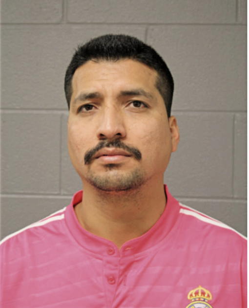 FRANCISCO VALDEZ, Cook County, Illinois