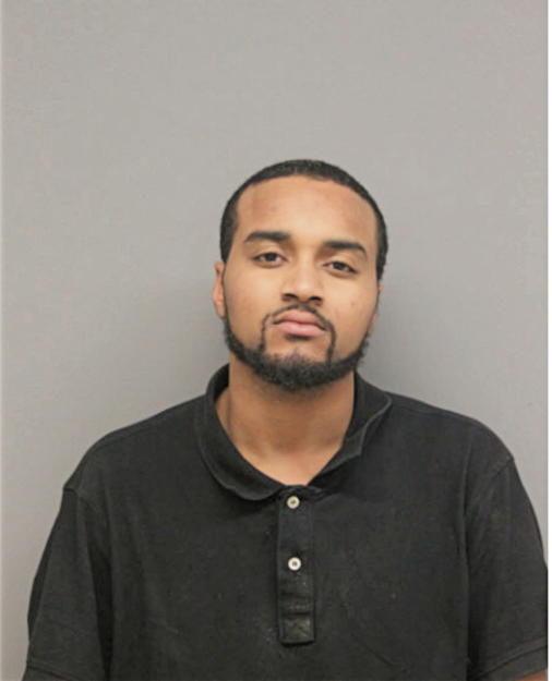 LEE A ARMSTRONG, Cook County, Illinois