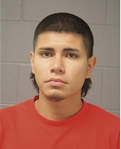NELSON AVILES, Cook County, Illinois