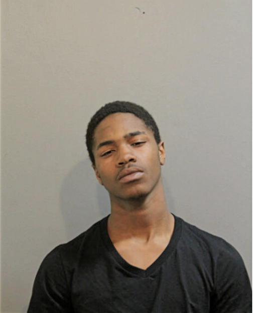 MATTHEW J BATES, Cook County, Illinois