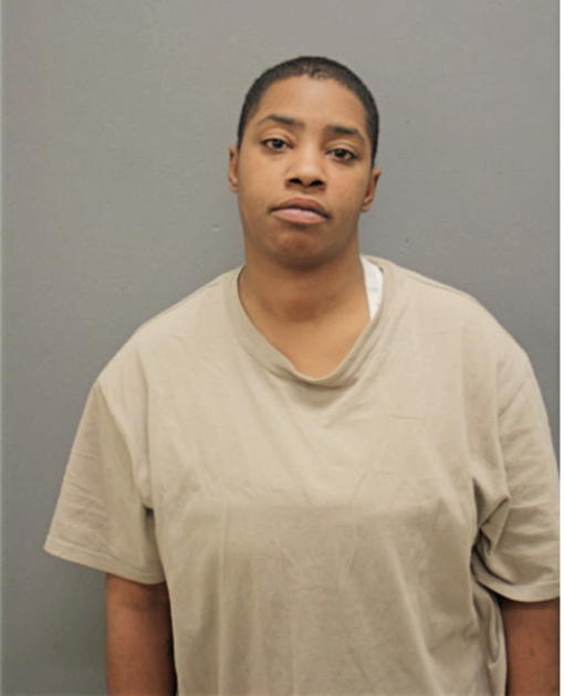 ADONIS T BROOKS, Cook County, Illinois