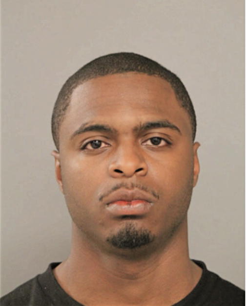 LEE A BROWN, Cook County, Illinois