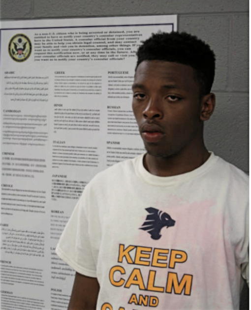 TRESHUN BRUCE, Cook County, Illinois