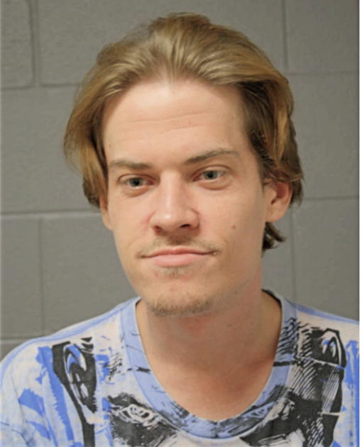 JONATHAN C BUJNOWSKI, Cook County, Illinois