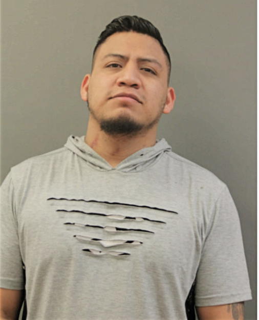 ALEXIS CARLOS, Cook County, Illinois