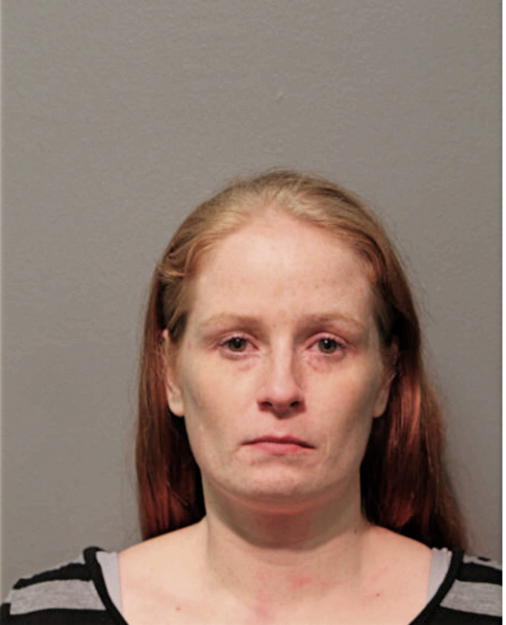ASHLEY S DOLAN, Cook County, Illinois