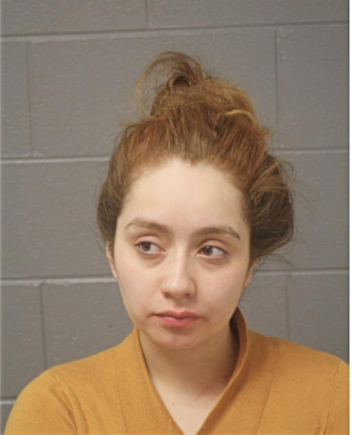 DAISY E GARCIA, Cook County, Illinois
