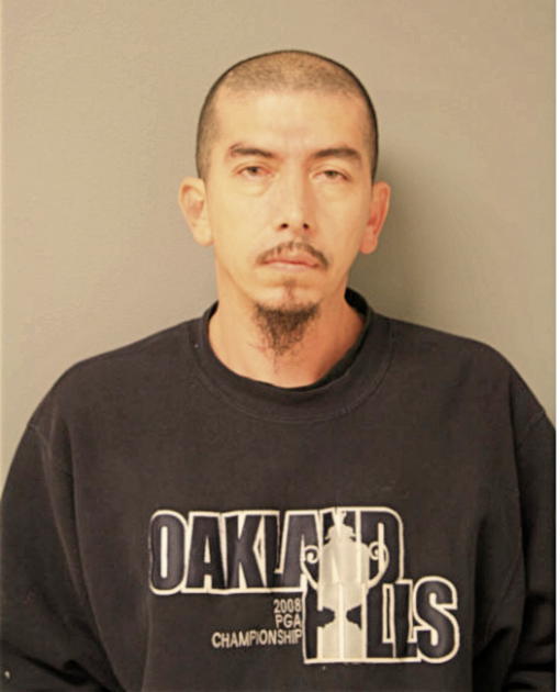 LUIS GARCIA, Cook County, Illinois