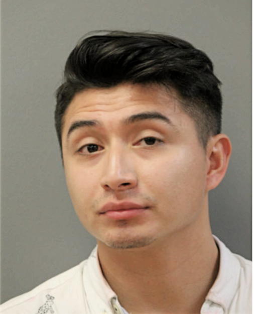 IVAN A HAROS, Cook County, Illinois