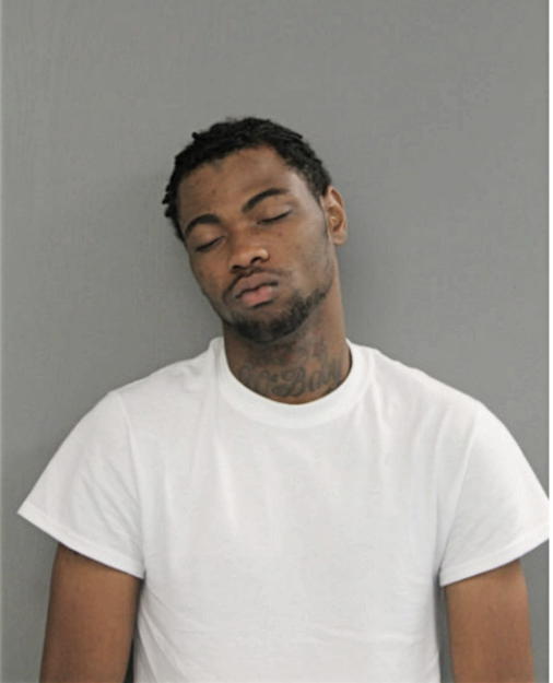 TERRELL A HARRIS, Cook County, Illinois