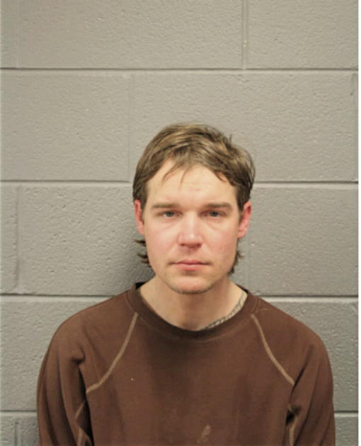 MARK G HENIFF, Cook County, Illinois