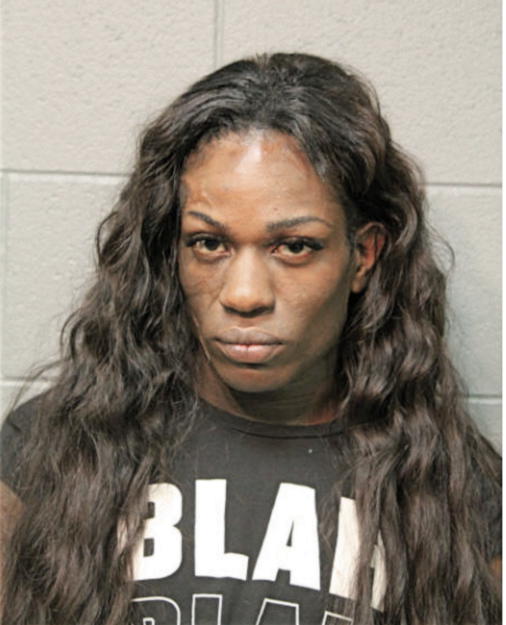 MICHAEL D HOLMES, Cook County, Illinois