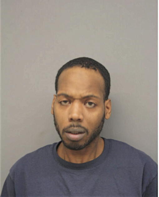BRANDON L JOHNSON, Cook County, Illinois