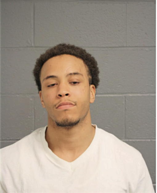 SENECA J LOFTON, Cook County, Illinois