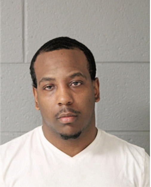 TERRELL J MATTHEWS, Cook County, Illinois