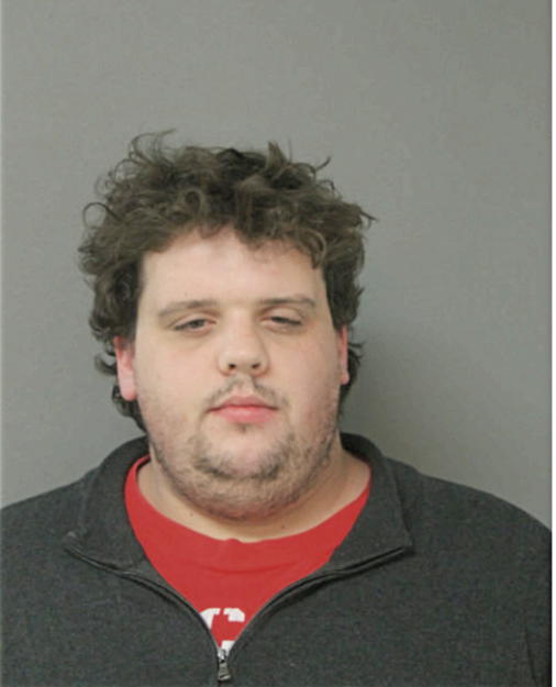 SEAN M MCCANN, Cook County, Illinois