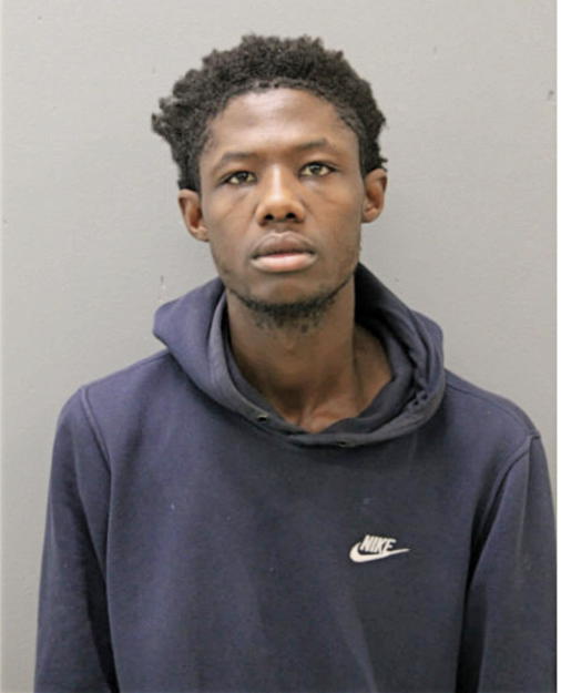 DEREK J NORMAN, Cook County, Illinois