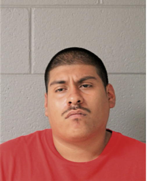 JESUS ORTEGA, Cook County, Illinois