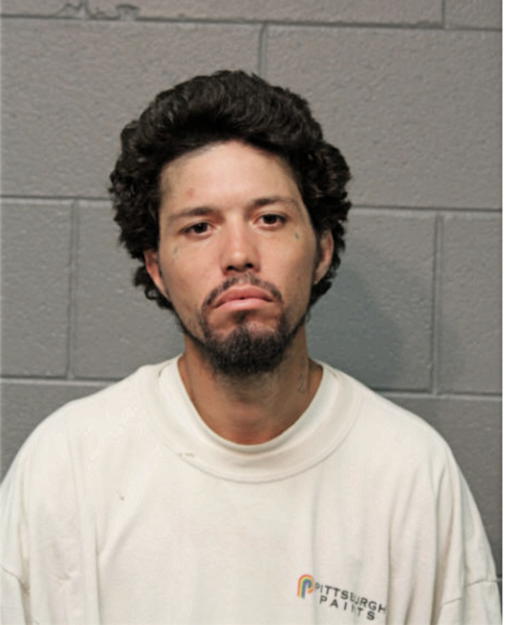 CARLOS ARNALDO ORTIZ, Cook County, Illinois