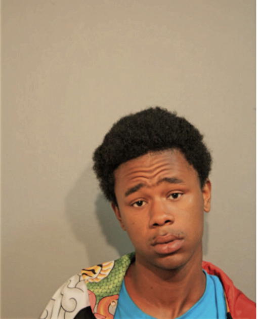 JEREMY L RAY, Cook County, Illinois
