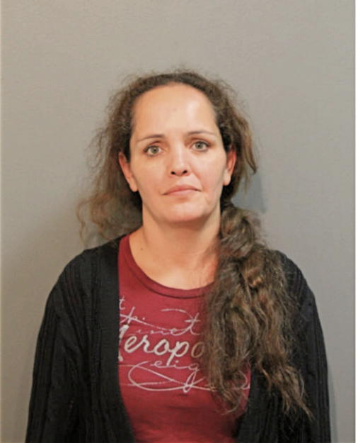 DINA M RODRIGUEZ, Cook County, Illinois