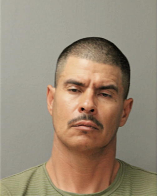 NEMECIO SILVA, Cook County, Illinois