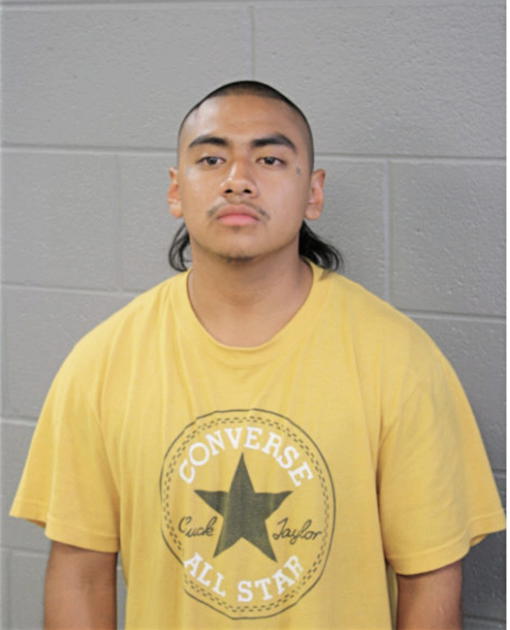 ROGELIO VILLALOBOS, Cook County, Illinois