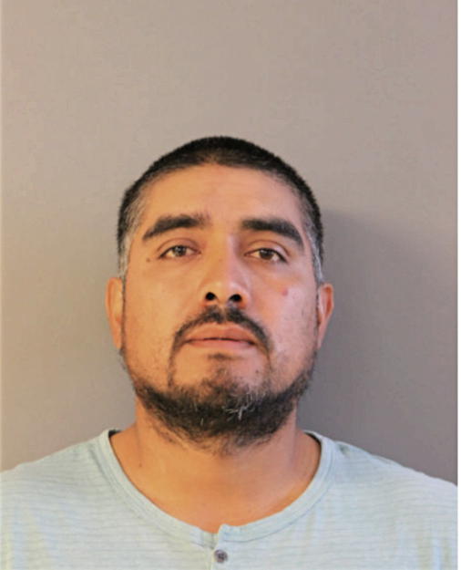 VENTURA ANDRADE, Cook County, Illinois