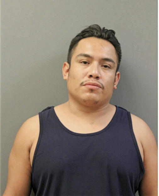 JESUS C BRAVO, Cook County, Illinois