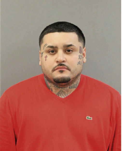 RENE E CARDONA, Cook County, Illinois