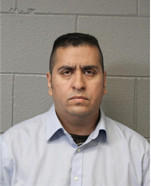 STEVEN M CARMONA, Cook County, Illinois
