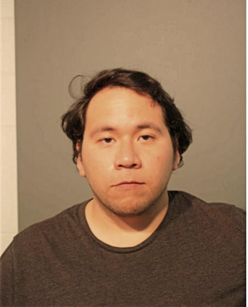 RENEE V CASTILLO, Cook County, Illinois