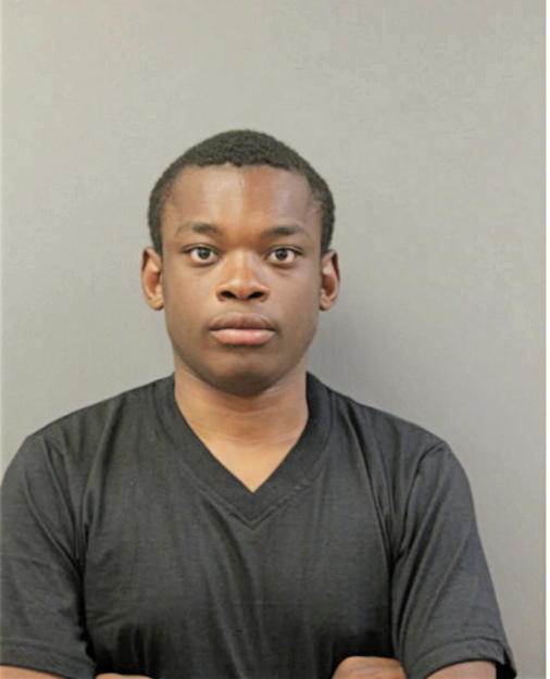 OLUMIDE FOLARIN, Cook County, Illinois