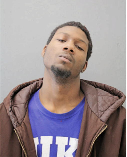 ORLANDO FORD, Cook County, Illinois