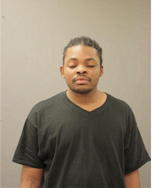 TERRELL D FORD, Cook County, Illinois